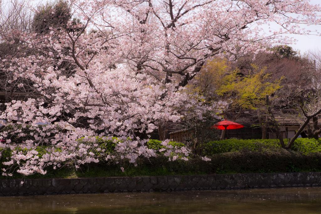 Kamakura Park Hotel Εξωτερικό φωτογραφία